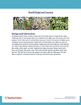 Seed Dispersal Background Information