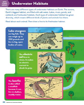TinkerActive Science Activity Lesson: Underwater Habitats (Grade 2)