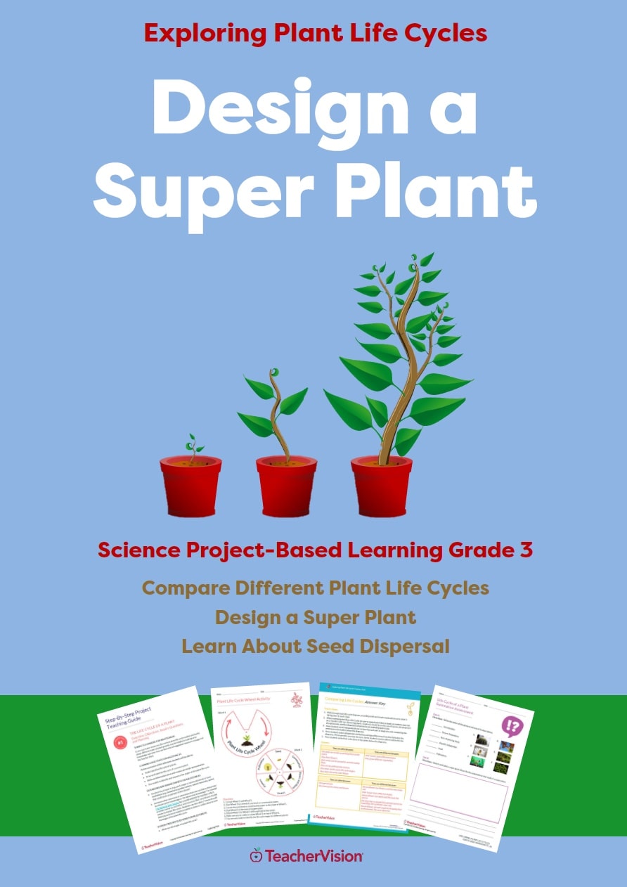 Design a Super Plant- Exploring Plant Life Cycles