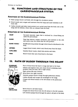 Functions and Structure of the Cardiovascular System