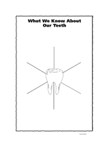 What We Know About Our Teeth