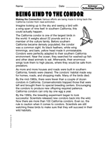 Science, Technology and Society: Being Kind to Condors