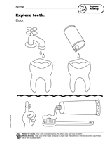 Explore Activity: Explore Teeth