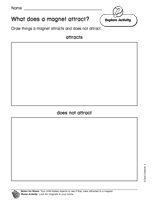 What Does a Magnet Attract? II