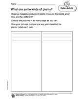 What Are Some Kinds of Plants?
