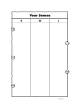 KWL Chart - Your Senses