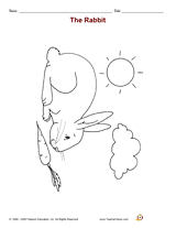 The Rabbit