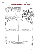 The Fruit of the Oak Tree