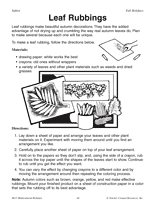 Decorative Leaf Rubbings