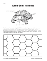 Turtle-Shell Patterns