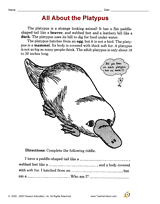 All About the Platypus