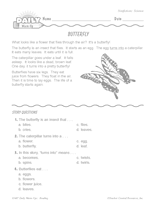 Science Reading Warm-Up: Butterflies