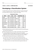 Developing a Classification System for Dog Breeds