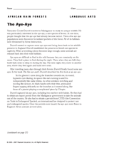 The Aye-Aye