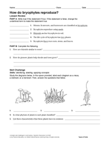 How Do Bryophytes Reproduce?