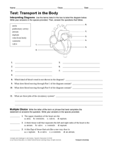 Life Science Test: Transport in the Body