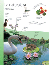 Nature (La naturaleza)