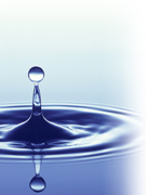 Instant Expert: Water